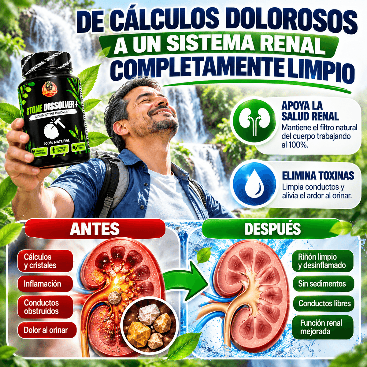 STONE DISSOLVER+ 🪨🔨 | Suplemento Renal para Cálculos e Infección Urinaria