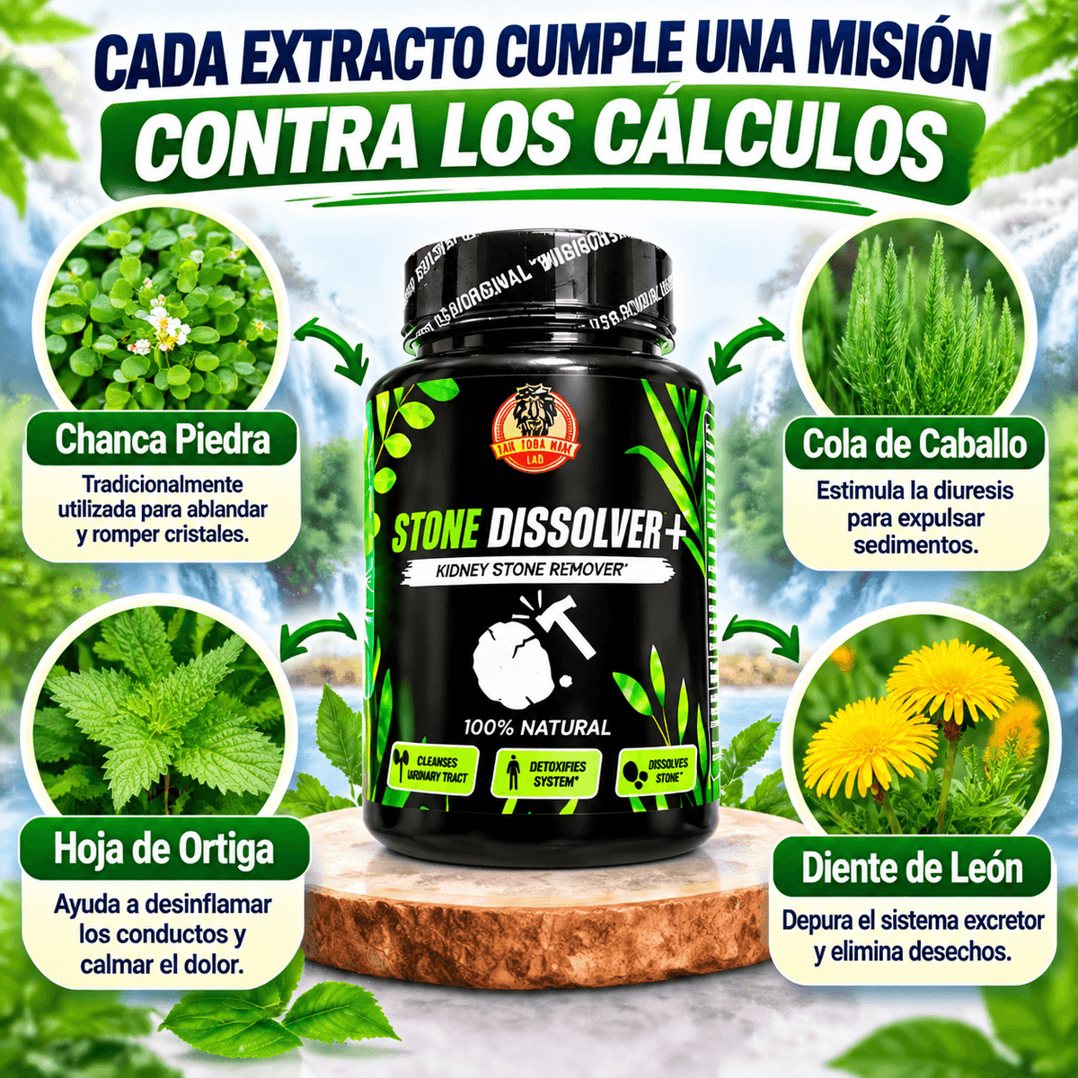 STONE DISSOLVER+ 🪨🔨 | Suplemento Renal para Cálculos e Infección Urinaria