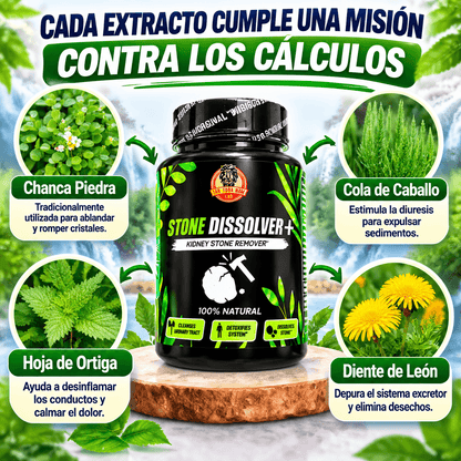 STONE DISSOLVER+ 🪨🔨 | Suplemento Renal para Cálculos e Infección Urinaria